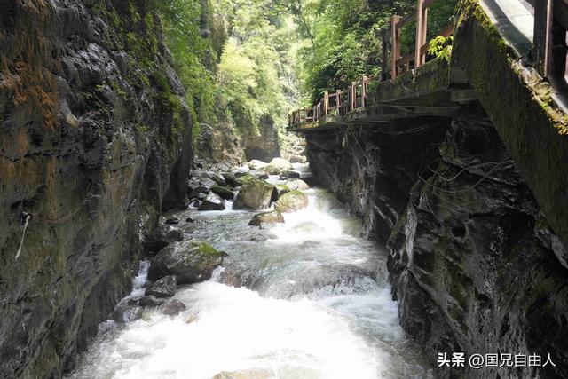“渝黔生物基因库”黑山谷游记