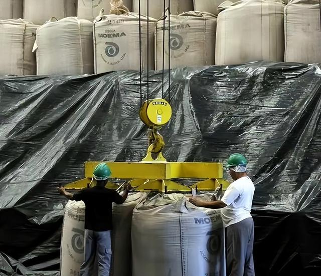 巴西大豆坐地起价，中国不接招停购反制，后悔也晚了！