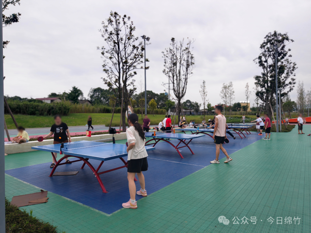 绵竹这里太美了！适合遛娃、运动、拍照，还有风铃木花海......