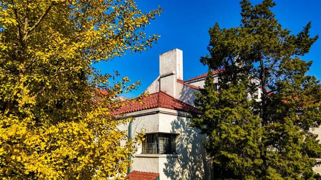 多图沉浸式感受和平秋韵