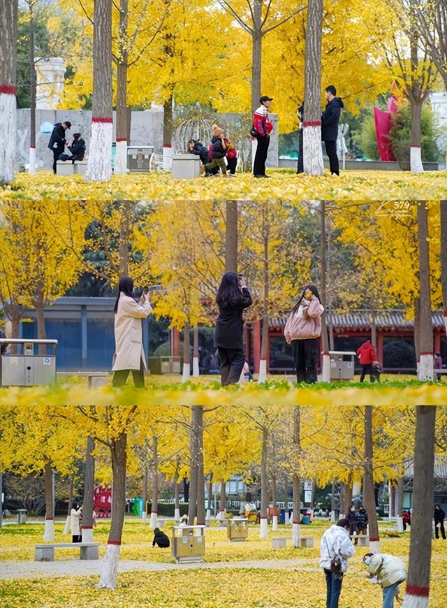 2025年11月10日 渭南文化旅游资讯微报（组图）