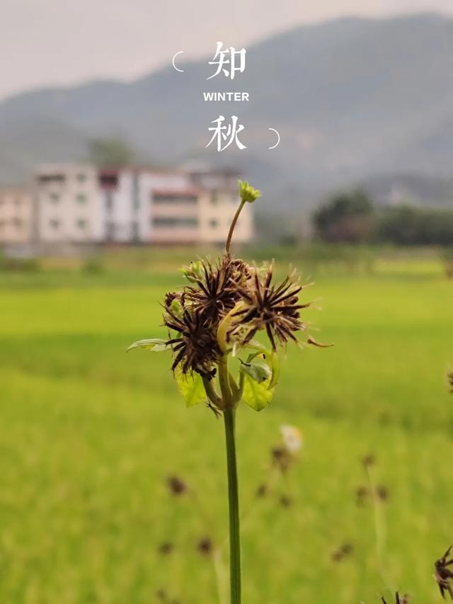 怀集的四季！带你回顾，带你深入