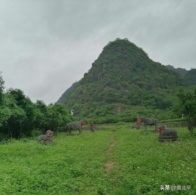 广西唯一有陵园的土司墓，规模庞大到让我们普通人无比羡慕