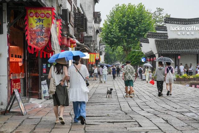 9月的南浔，不止是古镇，它更像一首慢下来的人间情诗！