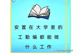 安置在大学里的工勤编都可以做什么工作图片