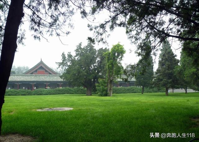 古木参天、绿草如茵，天坛景色秀