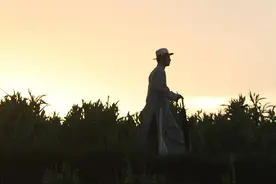 51岁金城武近况曝光：隐居7年，在乡下种田图片