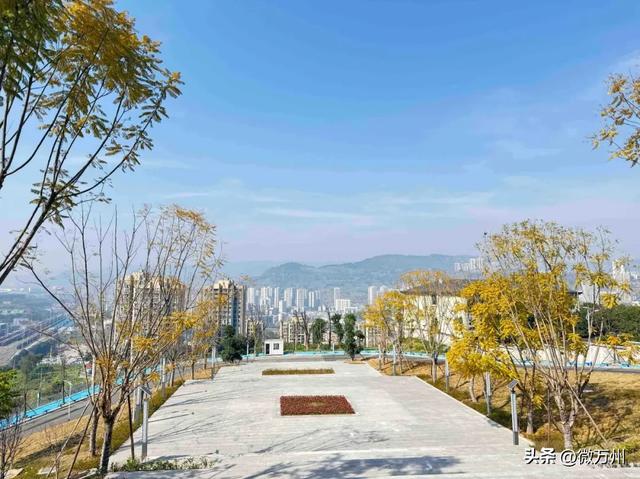 太惊艳了！北滨大道、音乐广场、太白岩、龙溪大道、南滨公园……快去→