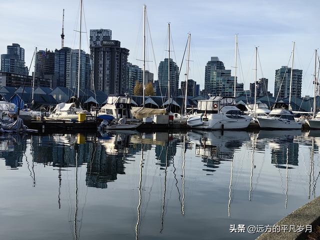 温哥华游记（四）