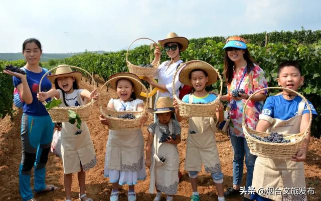 【乐享烟台】烟台两案例入选省生态旅游典型！蓬莱丘山谷、莱阳濯村双双上榜