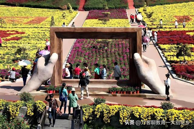 麻城旅游：2025年金秋，麻城五脑山菊花大观园福菊飘香，花海烂漫
