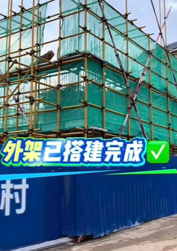 阻工大树已修剪！婵宝家建房全力加速中，网友表示祝贺与期待