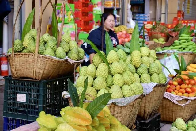 冬暖花开游云南丨玉溪冬日的幸福旅程