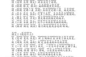 二年级语文生字组词造句手册（上册+下册），共29页，收藏备用图片