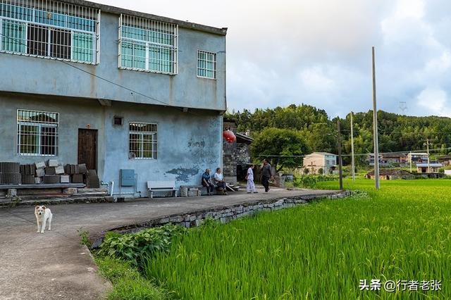 走遍福建古村落，罗源中房镇满盾，始于后唐距今千年，五座大厝