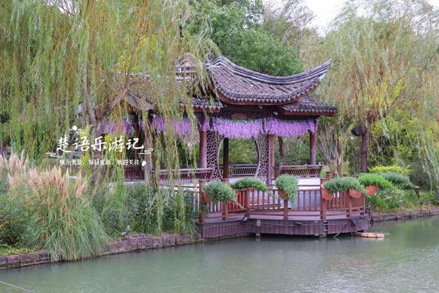 宁波这个网红菊花展已经上线，花还没开但景色很美，快来先睹为快