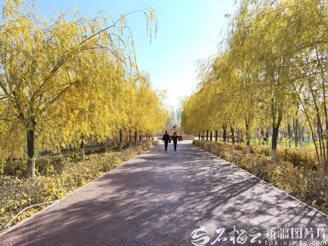 乌鲁木齐这4个公园陆续开放!