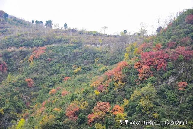 汉中出发沿嘉陵江跨省自驾,把秦巴深秋的美景装进车窗~图片