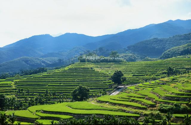 享受周末慢时光！五指山美景+美食打卡指南来啦→