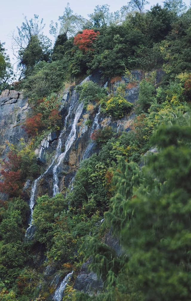 登高赏景！这些五彩山林秘境，等你来打卡