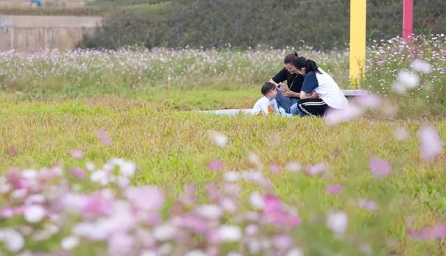 格桑花开，河鲜正鲜！来高要这里，邂逅一场粉色浪漫~