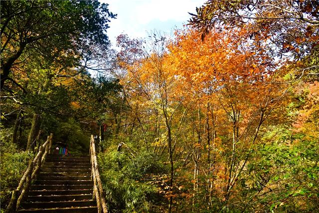 赏秋正当时!自驾来汉中,赴一场秋日视觉盛宴~