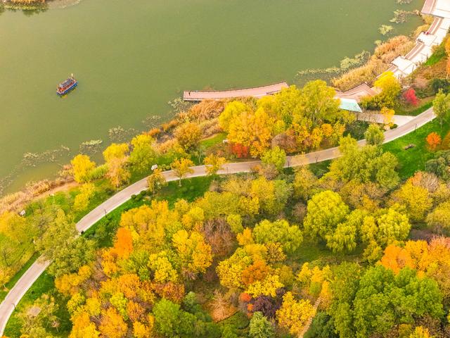 初冬访复圣文化园：与色彩和哲思对话