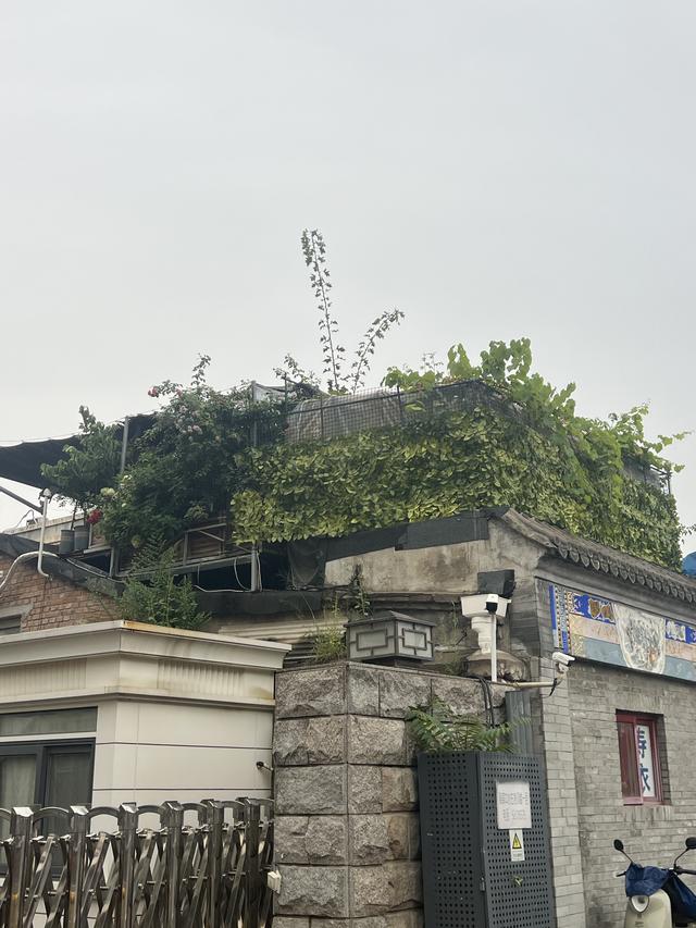 北京之行——海淀高校区、大栅栏（2025.9.7）