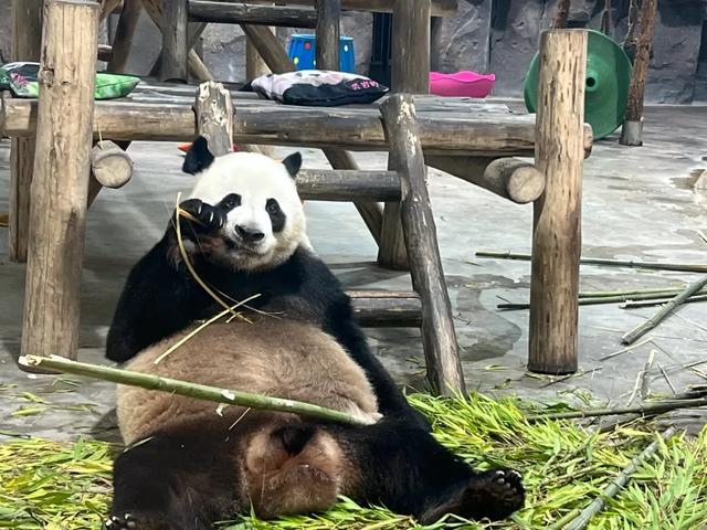 洛阳，全国前十！