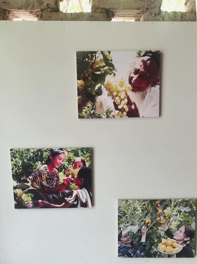 游新疆吐鲁番的坎儿井和葡萄沟