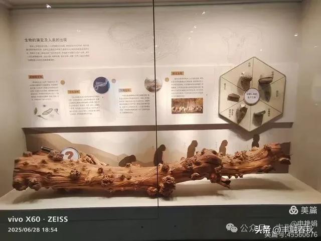 探秘丝路明珠，邂逅巴楚千年文明——走进新疆巴楚博物馆｜申艳娟