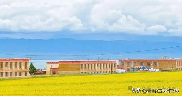 【青海在线网·散文】你见过什么样的青海