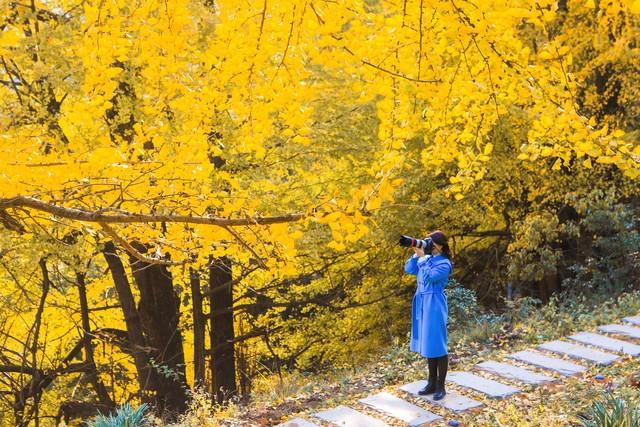 吉安秋色段位榜4条神仙路线，从入门到王者，收藏这篇就够了