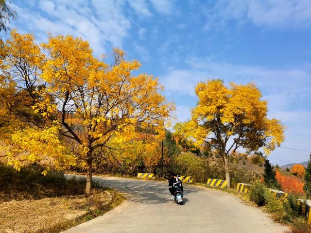 兰仓秋，染山河。