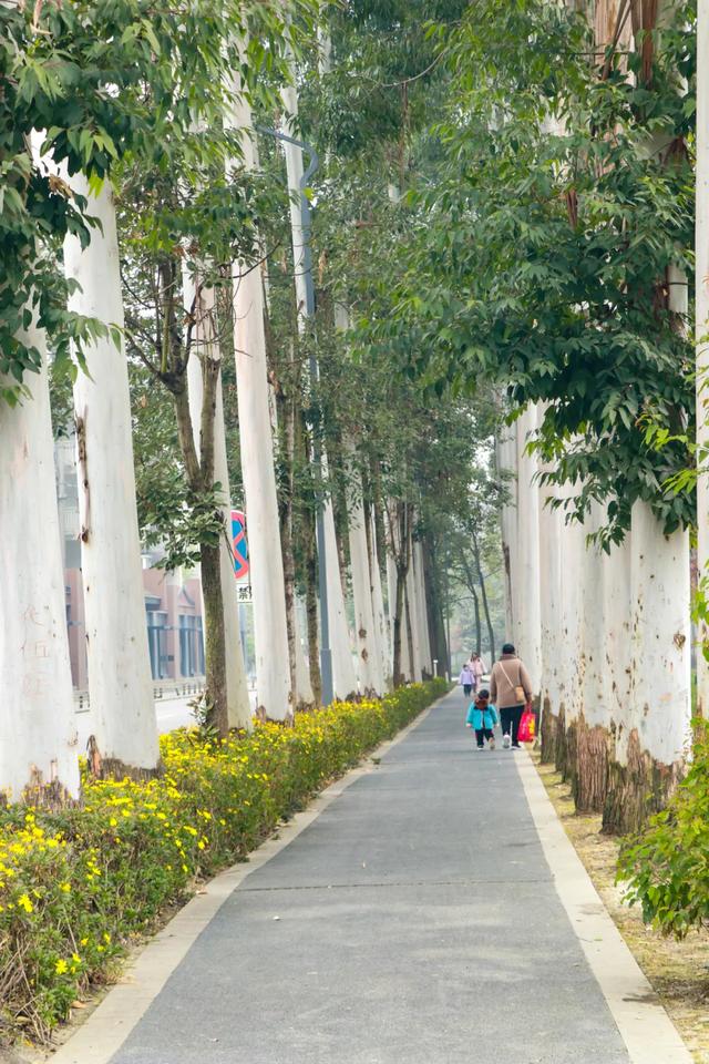 晒太阳~从从容容逛公园赏美景