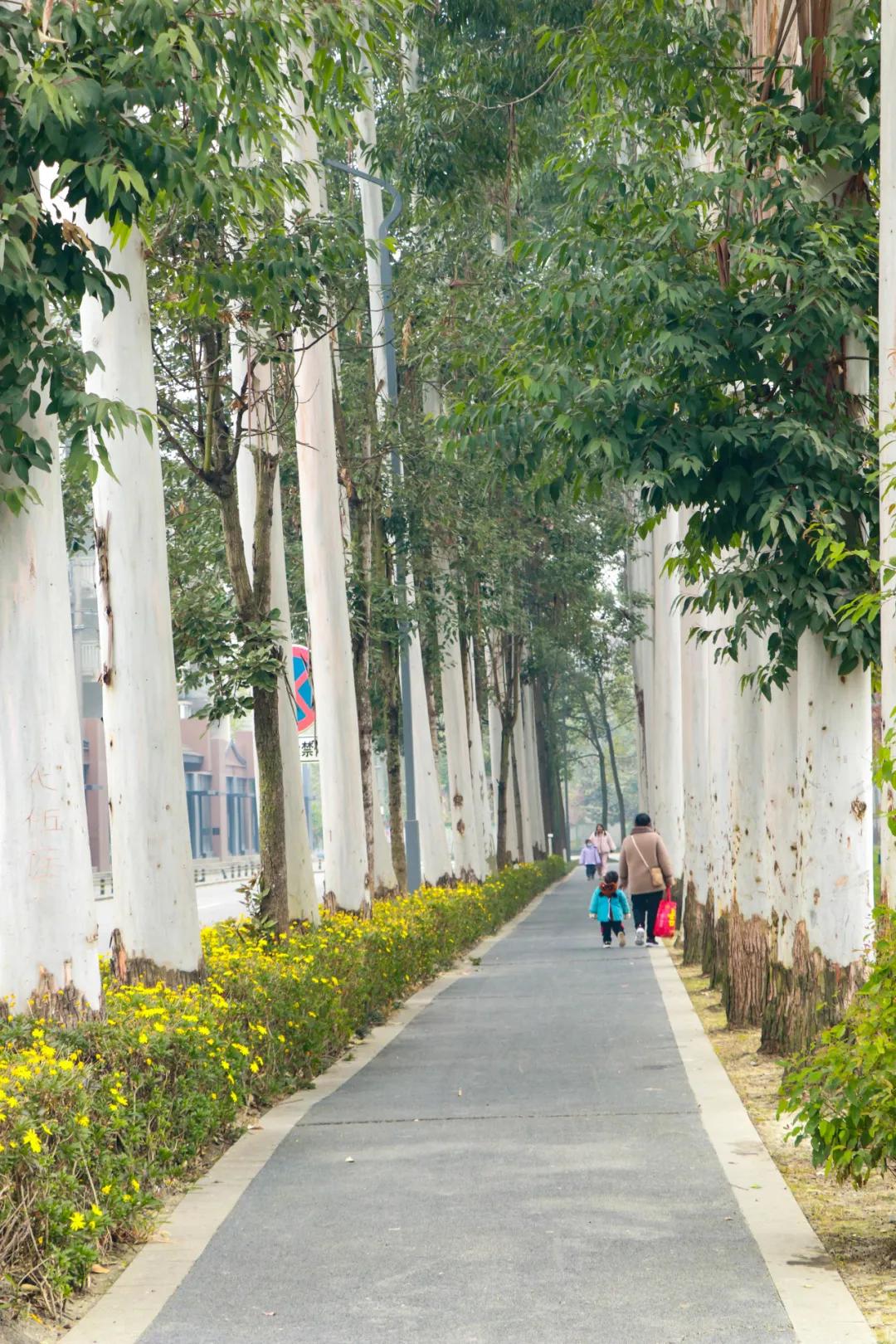 晒太阳~从从容容逛公园赏美景插图6 晒太阳~从从容容逛公园赏美景插图6