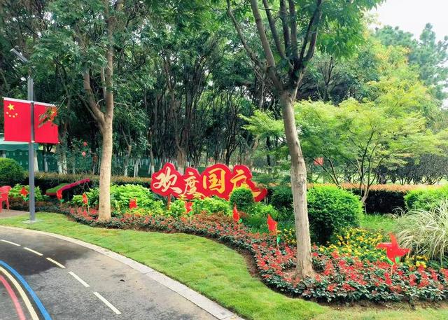 合肥街头“变装”发现了没？国庆假期一起逛花境吧！