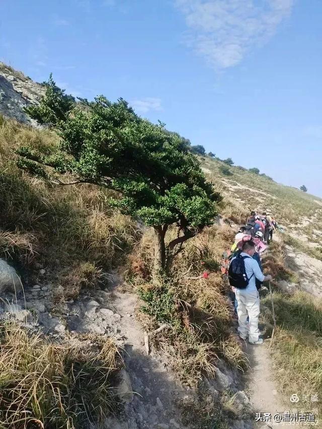 尽享无尽野趣！来浙里，开启一场跨越山与海的秘境徒步之旅！