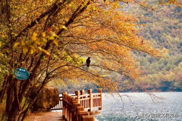 文县天池的秋，是上帝打翻的调色盘！