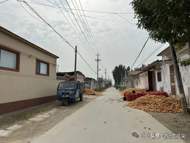 冠县乡韵·桑阿镇野场村