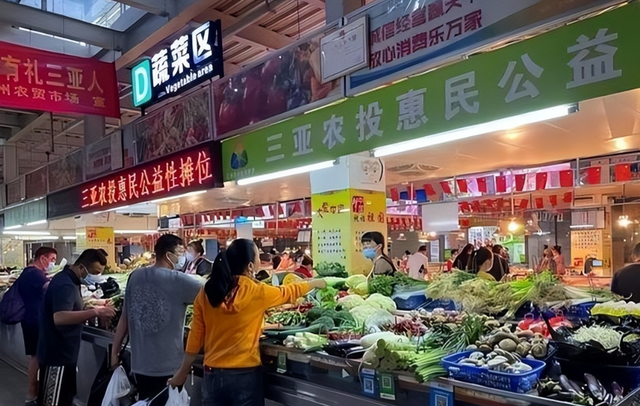 三亚终究踏上“不归路”，东北人撤离成潮！背后原因令人太无奈！