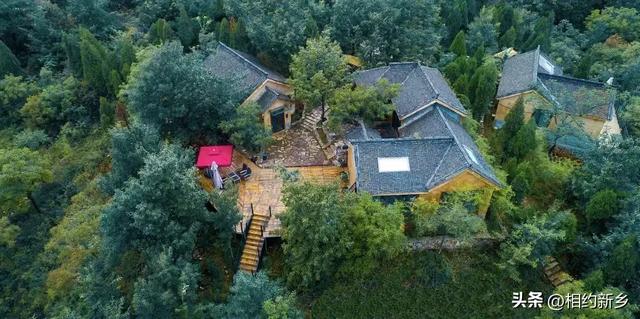 这个秋天,回“乡”看看