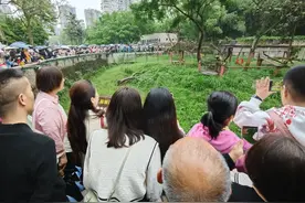 “五一”假期首日重庆有多火？位列热门旅游目的地TOP3 酒店订单同比增长24%图片