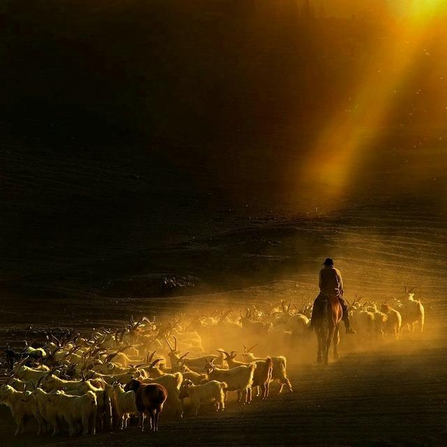 诗和远方 魅影新疆