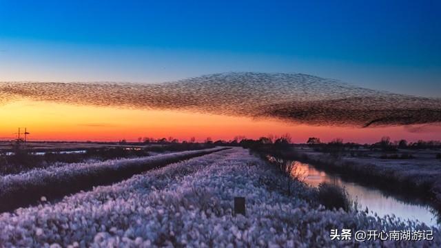走，去渤海湾看候鸟…
