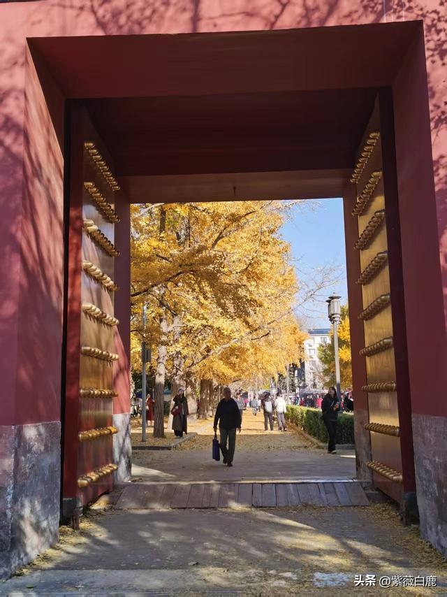 这个秋天，我在地坛