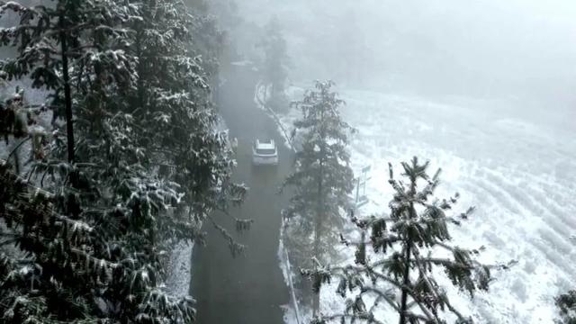 雪落渠县，水墨天成！雾凇与茶山共绘冬日限定童话