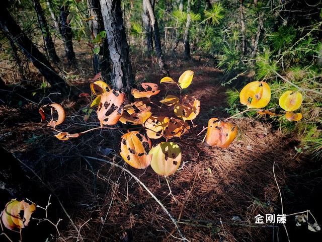 木兰古门的风光