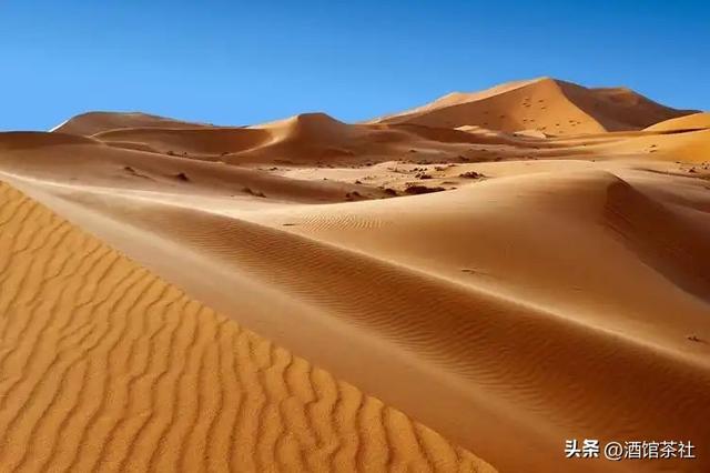 北极冰块挑战赤道高温！1.2万公里极限征程，这群人到底图什么？