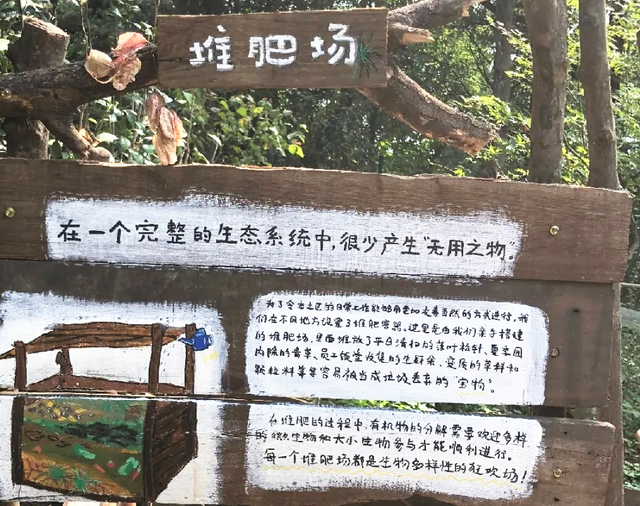 国家生态文明示范区系列报道丨于城市之心，写共生之诗